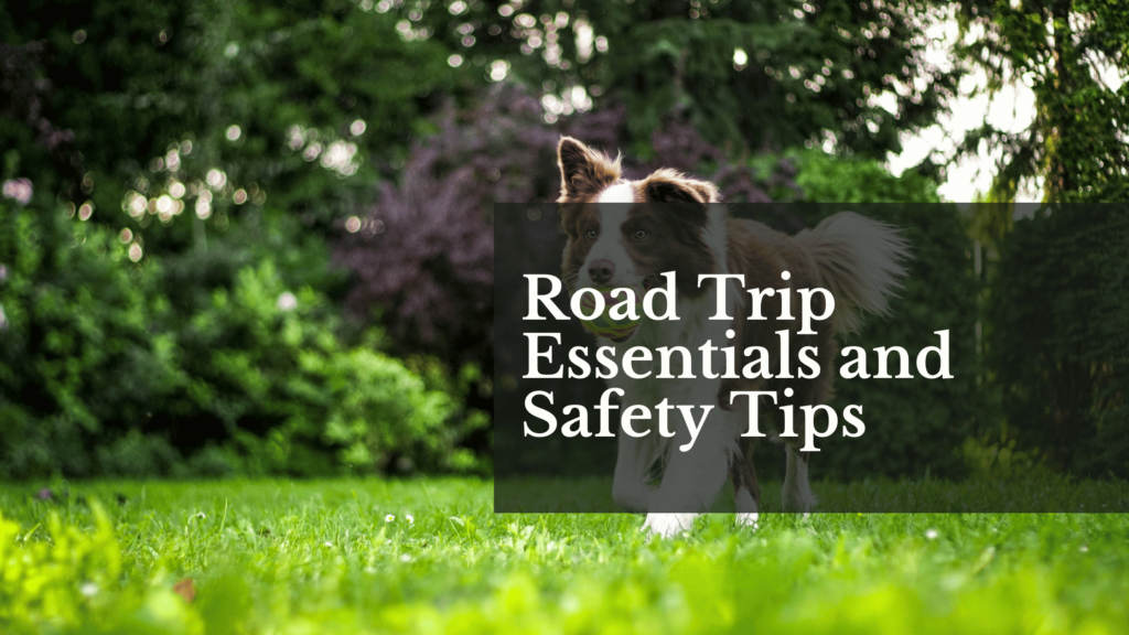 Road Trip Essentials and Safety Tips