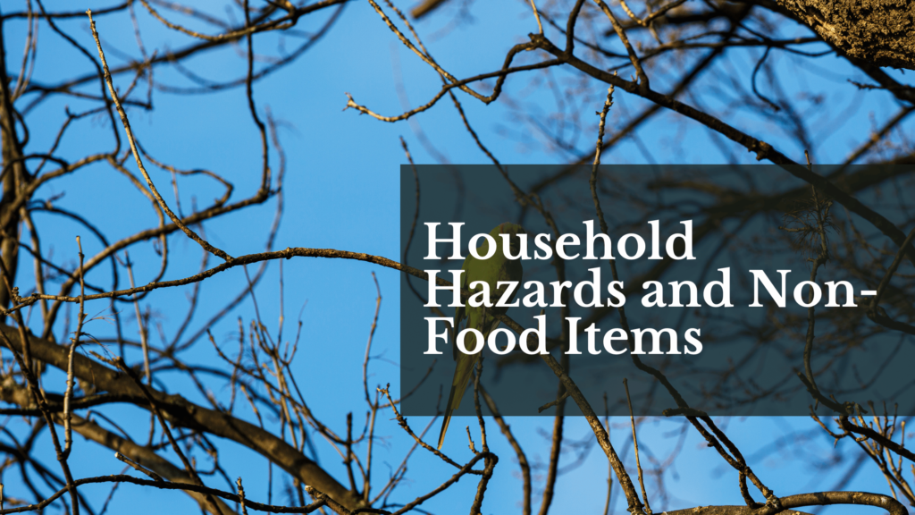 Household Hazards and Non-Food Items