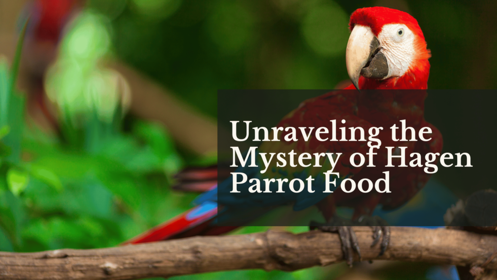 Unraveling the Mystery of Hagen Parrot Food