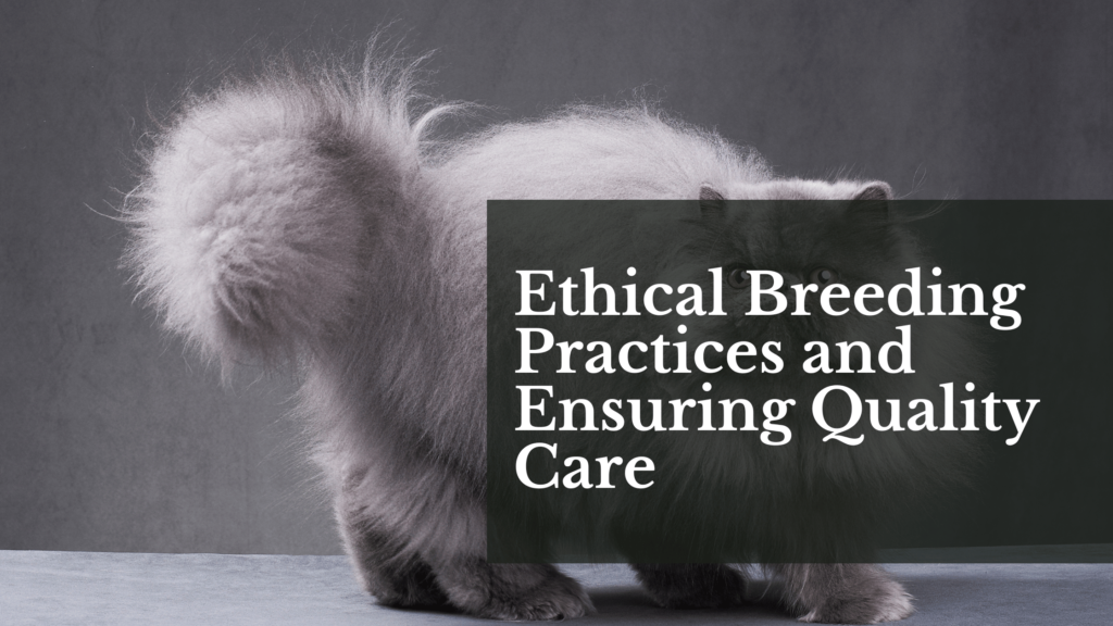 Ethical Breeding Practices and Ensuring Quality Care