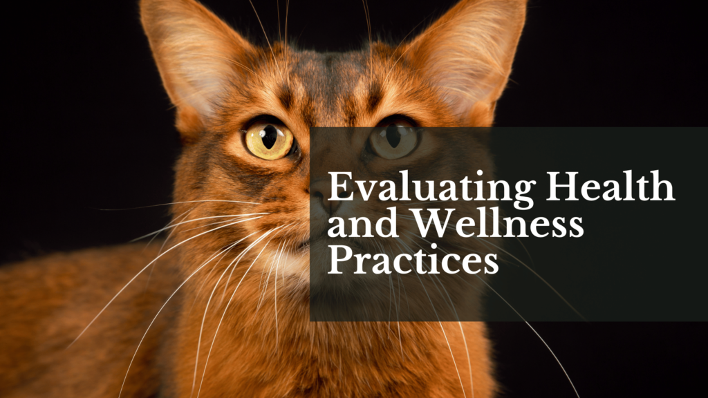 Evaluating Health and Wellness Practices
