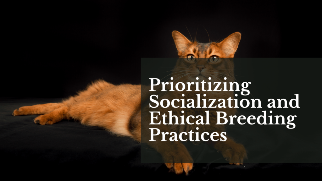 Prioritizing Socialization and Ethical Breeding Practices