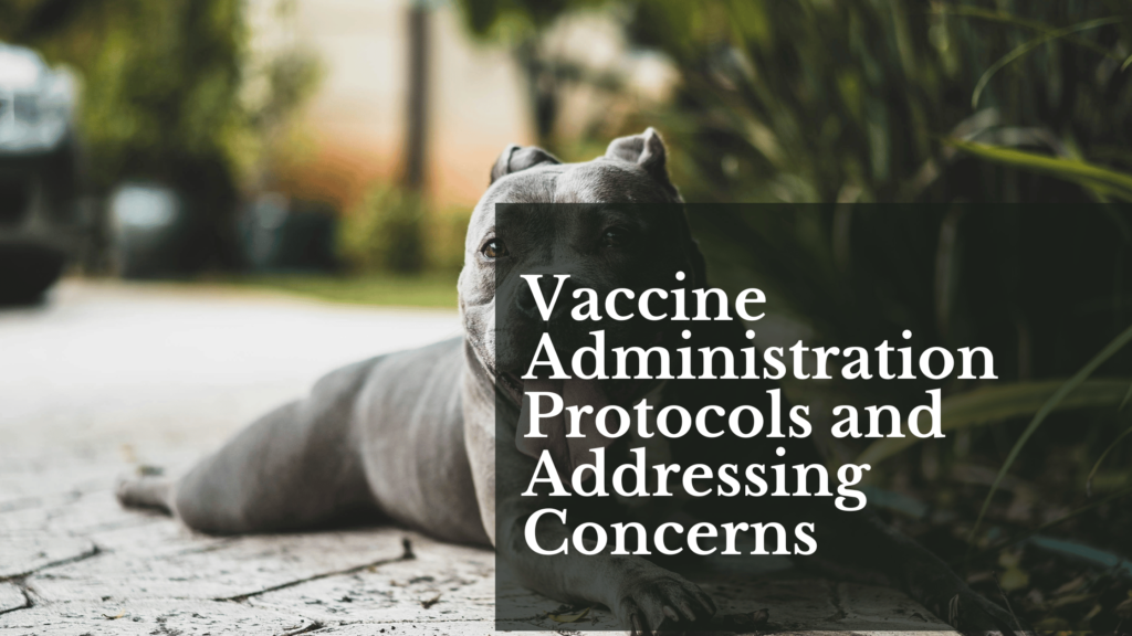 Vaccine Administration Protocols and Addressing Concerns