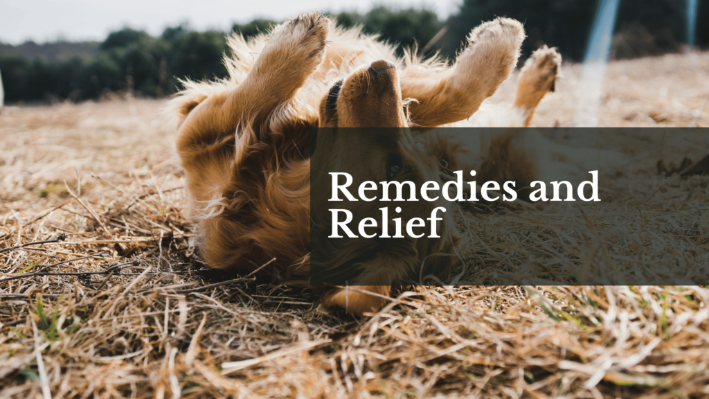 Remedies and Relief